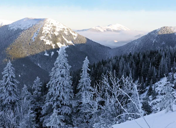 Soirée Hiver Dans Les Carpates — Photo