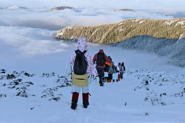 Eine Gruppe Touristen Einem Winterabend Berghang Ukrainisch Osmoloda — Stockfoto