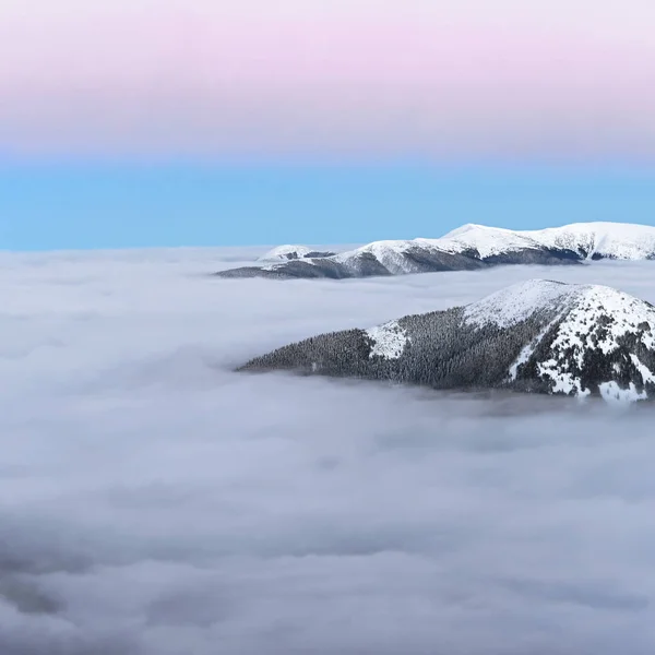 Tarde Invierno Los Cárpatos — Foto de Stock