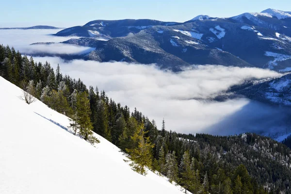 Winter Mountain Landscape Fog — Stock Photo, Image