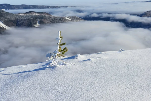 Winterliche Berglandschaft Mit Nebel — Stockfoto