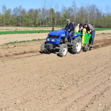 Kalush, Ukrayna 4 Nisan 2016: patates yakınlarında kasaba Kalush, Ukrayna dikim .