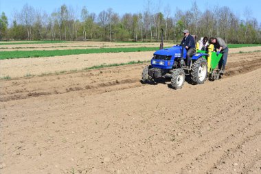 Kalush, Ukrayna 4 Nisan 2016: patates yakınlarında kasaba Kalush, Ukrayna dikim .