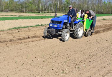 Kalush, Ukrayna 4 Nisan 2016: patates yakınlarında kasaba Kalush, Ukrayna dikim .