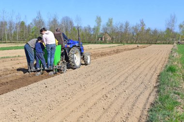 Kalush, Ukrayna 4 Nisan 2016: patates yakınlarında kasaba Kalush, Ukrayna dikim .