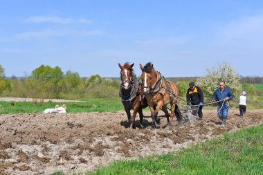 Kalush, Ukrayna - 18 Nisan 2017: bir alan tarafından el ile pulluk nadas üzerinde şehrin Kalush, Ukrayna atlı.