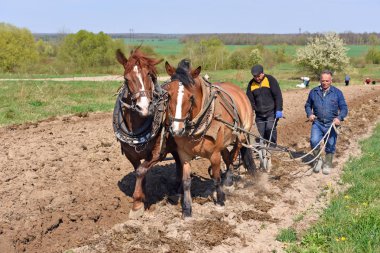 Kalush, Ukrayna - 18 Nisan 2017: bir alan tarafından el ile pulluk nadas üzerinde şehrin Kalush, Ukrayna atlı.