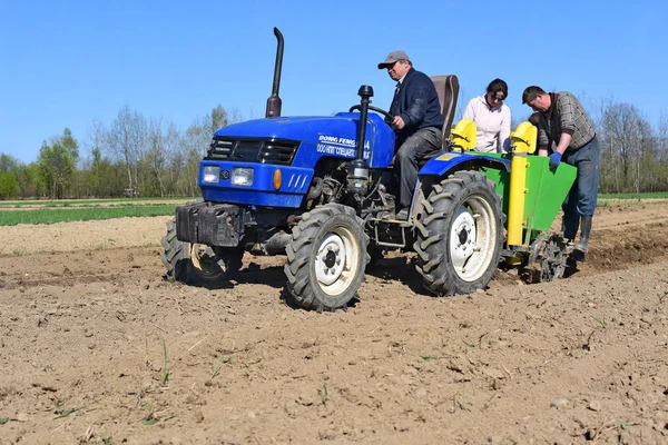 Kalush Ukraina Den April 2016 Plantera Potatis Nära Staden Kalush — Stockfoto