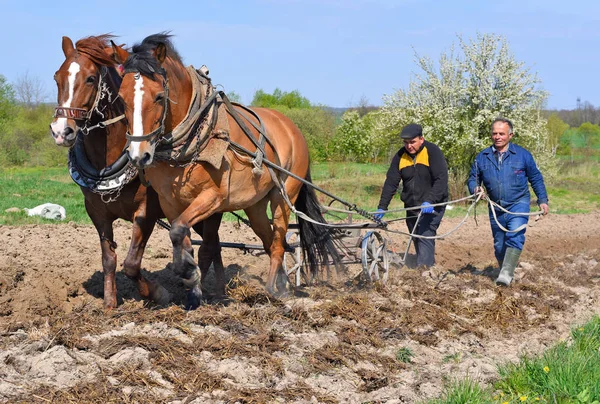 Kalush Ukraine April 2017 Einfriedung Eines Feldes Mit Einem Handpflug — Stockfoto