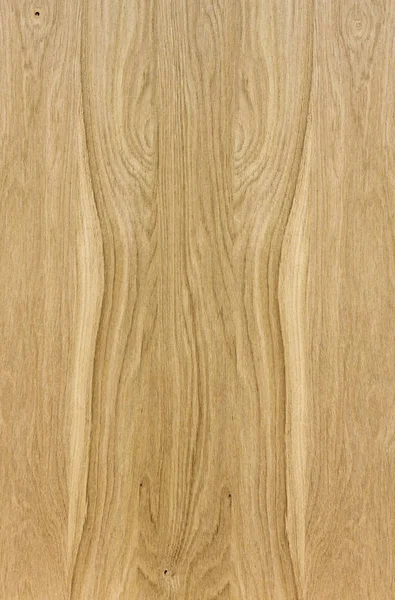 Fragment Wooden Panel Hardwood — Stock Photo, Image