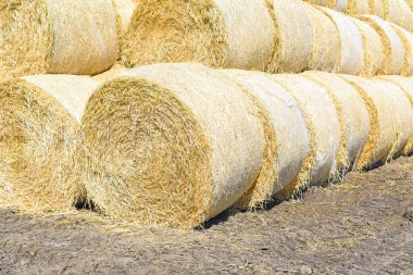 Toprak deposunda saman balyaları