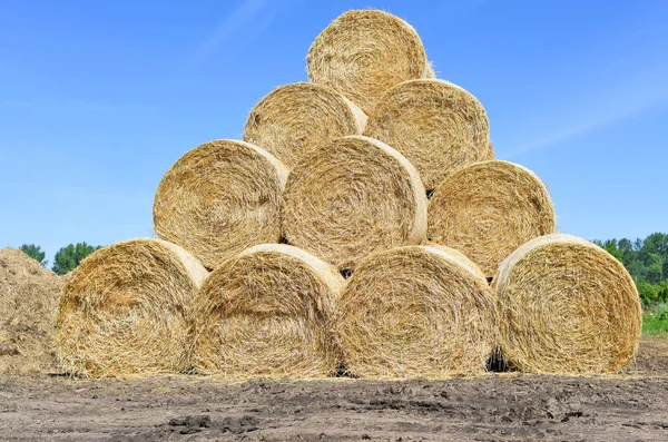 Bales Paja Almacenamiento Tierra — Foto de Stock