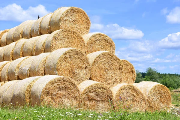 Bales of straw on the ground storage