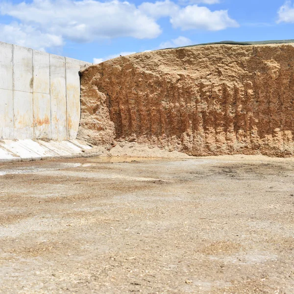 Lagring Silos Diket Silo — Stockfoto