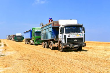 Kalush, Ukrayna 20 Temmuz 2018: Batı Ukrayna 'nın Kaluş kenti yakınlarında tahıl hasat etme.
