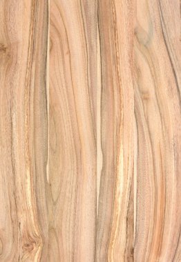 Ahşap panel ahşap bir parçası. Ceviz.