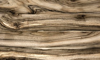 Ahşap panel ahşap bir parçası. Ceviz.