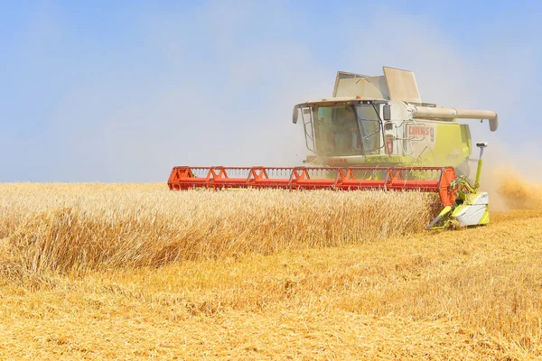 Unire Mietitrebbia Lavorando Campo Grano — Foto Stock