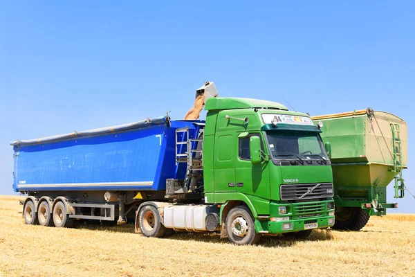 Tahıl Hasat Traktör Römork Tahıl Tankına Aşırı Yükleme — Stok fotoğraf