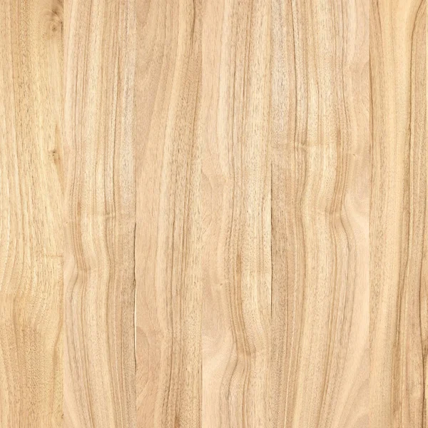 A fragment of a wooden panel hardwood. Walnut.