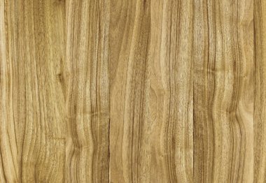 Ahşap panel ahşap bir parçası. Ceviz.