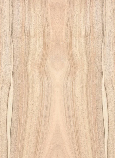 Een Fragment Van Een Houten Paneel Hardhout Walnut — Stockfoto