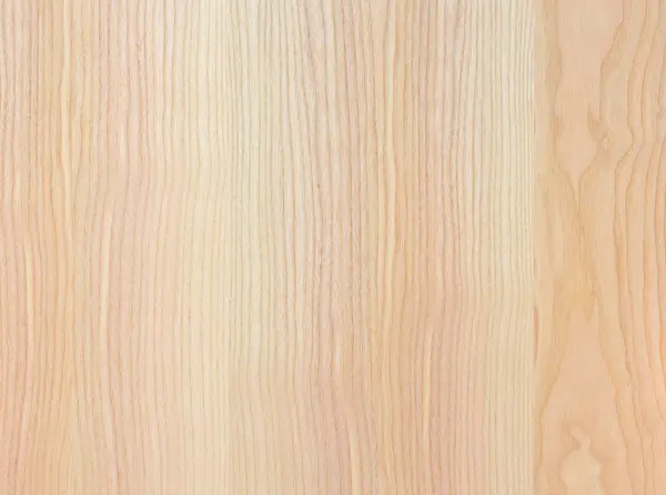 Фрагмент Деревянной Панели Лиственных Пород Дерева — стоковое фото