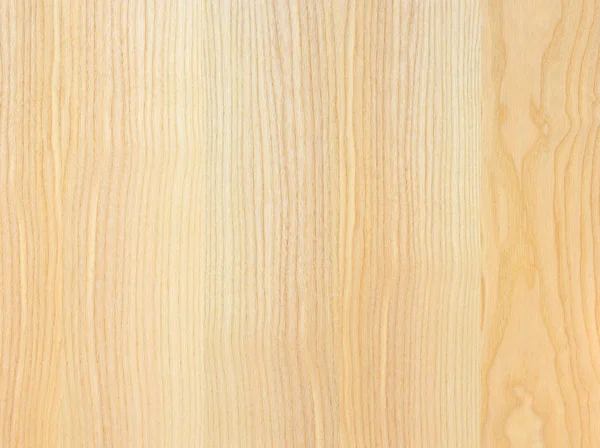 Fragment Wooden Panel Hardwood — Stock Photo, Image