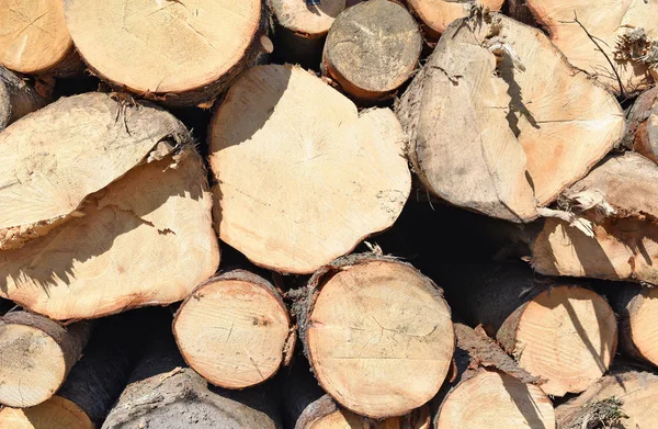 Preparazione Deposito Del Legno Paesaggio Industriale — Foto Stock