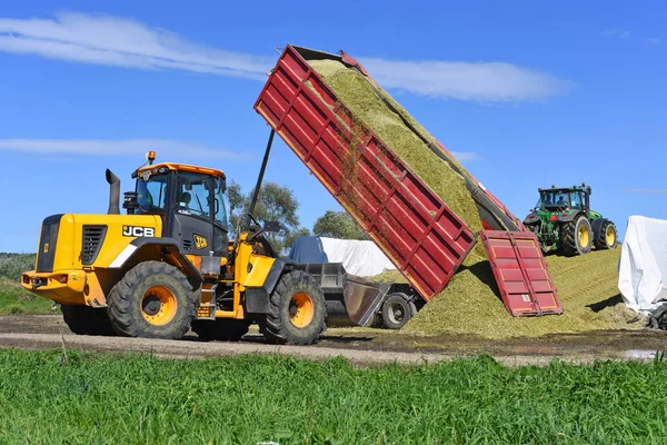 Kalush Ukraine September 2017 Fill Silage Trench Corn Silage Dairy — Stock Photo, Image