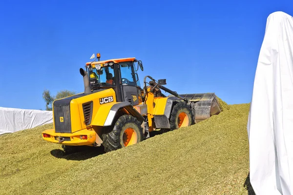 Kalush Ukraine September 2017 Ramming Corn Silage Silo Trench Dairy — Stock Photo, Image