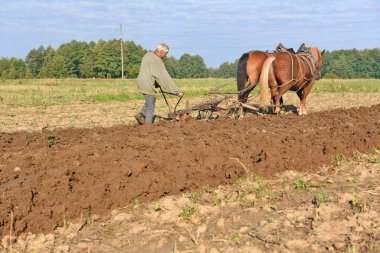 Kalush, Ukrayna - 29 Eylül 2017: bir alan tarafından el ile pulluk nadas üzerinde şehrin Kalush, Ukrayna atlı.
