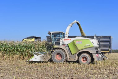 Kalush, Ukraine - September 25, 2019: Harvesting of corn silage in the field near the town of Kalush, Western Ukraine clipart