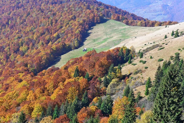 Bela Paisagem Natureza Floresta Montanha — Fotografia de Stock