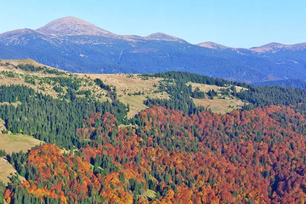 Beautiful Nature Landscape Mountain Forest — Stock Photo, Image