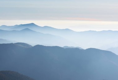 Güzel doğa manzarası, dağ ormanı.