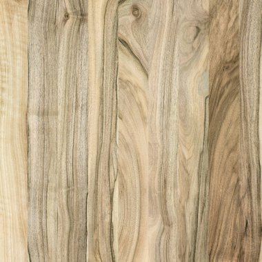 Ahşap panel ahşap bir parçası. Ceviz.