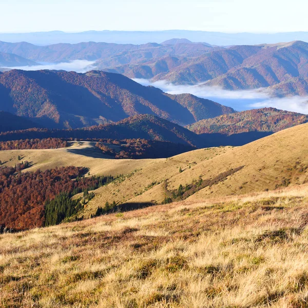 Morgen Den Karpaten Blick Auf Das Coupé Gebiet Des Berges — Stockfoto