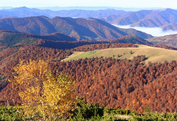 Manhã Nos Cárpatos Vista Cupê Área Monte Sheshul — Fotografia de Stock