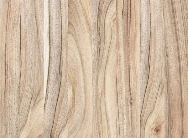 Een Fragment Van Een Houten Paneel Hardhout Walnut — Stockfoto