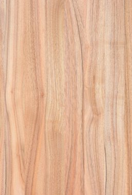 Ahşap panel ahşap bir parçası. Ceviz.