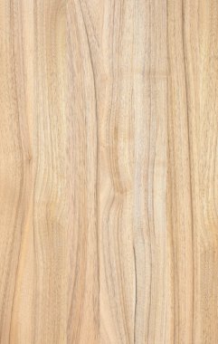 Ahşap panel ahşap bir parçası. Ceviz.