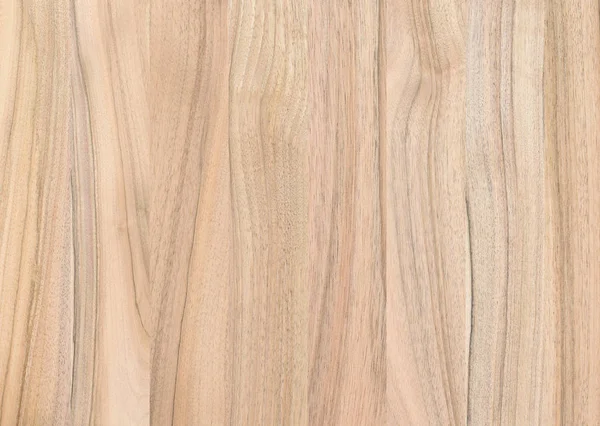 Een Fragment Van Een Houten Paneel Hardhout Walnut — Stockfoto