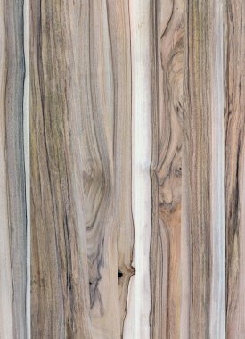 Ahşap panel ahşap bir parçası. Ceviz.