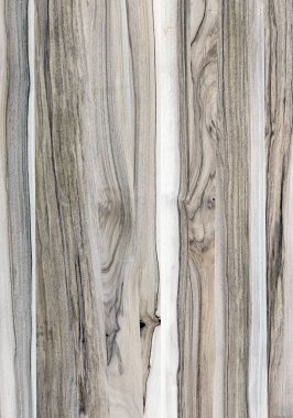 Ahşap panel ahşap bir parçası. Ceviz.