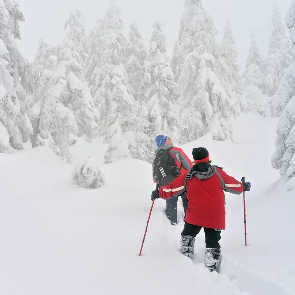 Ukraine Osmoloda Februar 2018 Touristen Berghang Nebel Bergoval Karpaten — Stockfoto