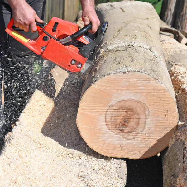 man cutting wood with chainsaw