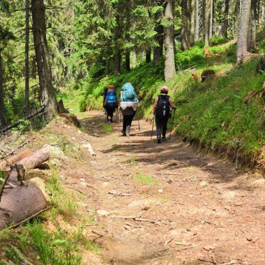 Ukrayna, Osmoloda-- 10 Haziran 2018: Osmoloda, Batı Ukrayna yakınlarındaki bir orman dağ yolunda bir grup turist.