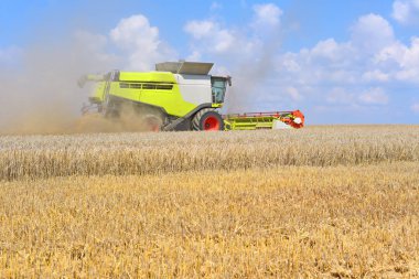 Kalush, Ukrayna 20 Temmuz 2018: Modern Claas hasat hasat Mısır gevreği şehrin Kalush, Ukrayna, birleştirmek..