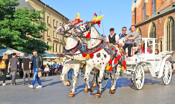 波兰共和国克拉科夫 2017年7月3日 在老城区乘坐马车行走 主市场广场 — 图库照片